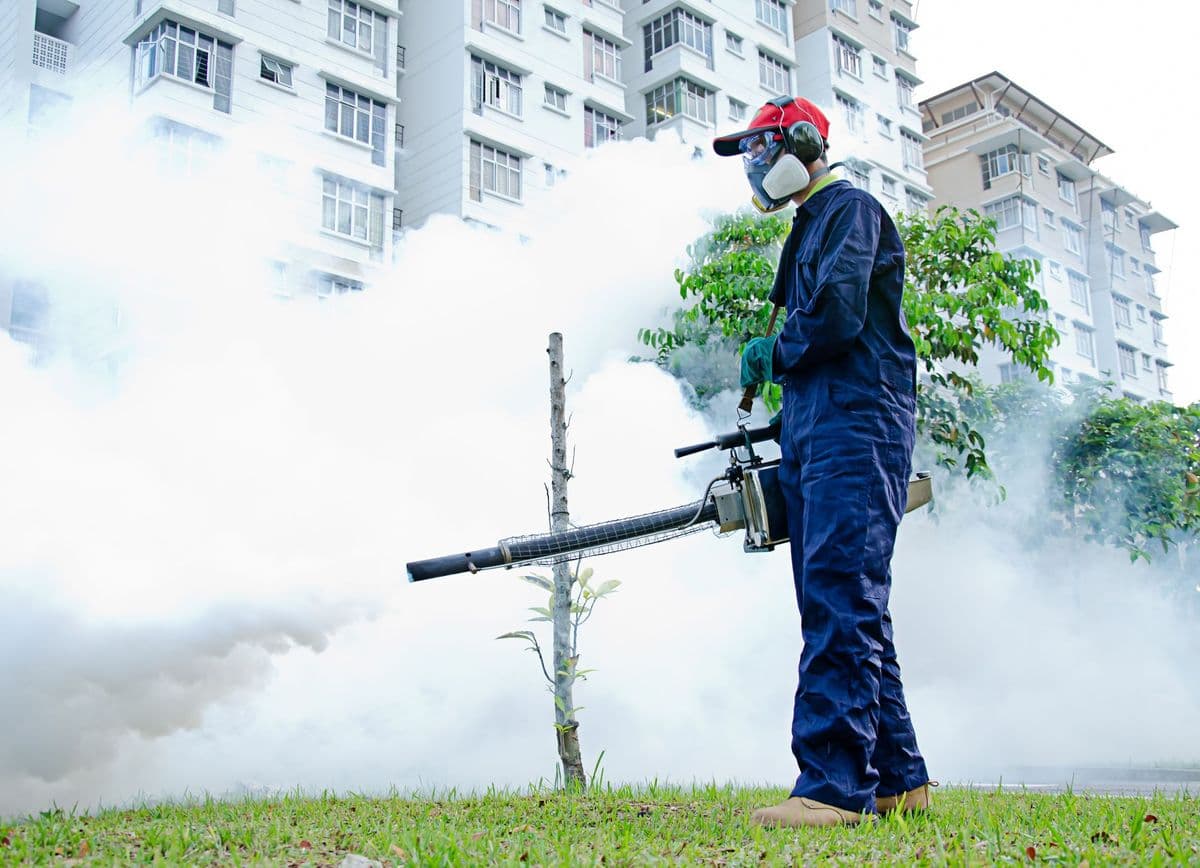 House Fumigation: A Proactive Investment in Home Safety